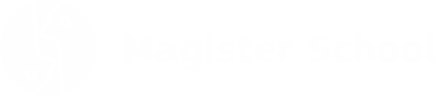 Magister School